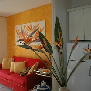 https://apartment-los-cristianos-tenerife.in-canary-islands.com